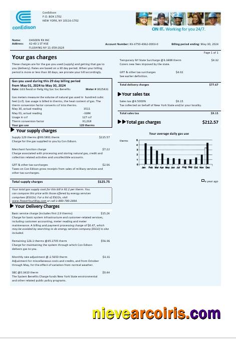USA Con Edison gas business utility bill